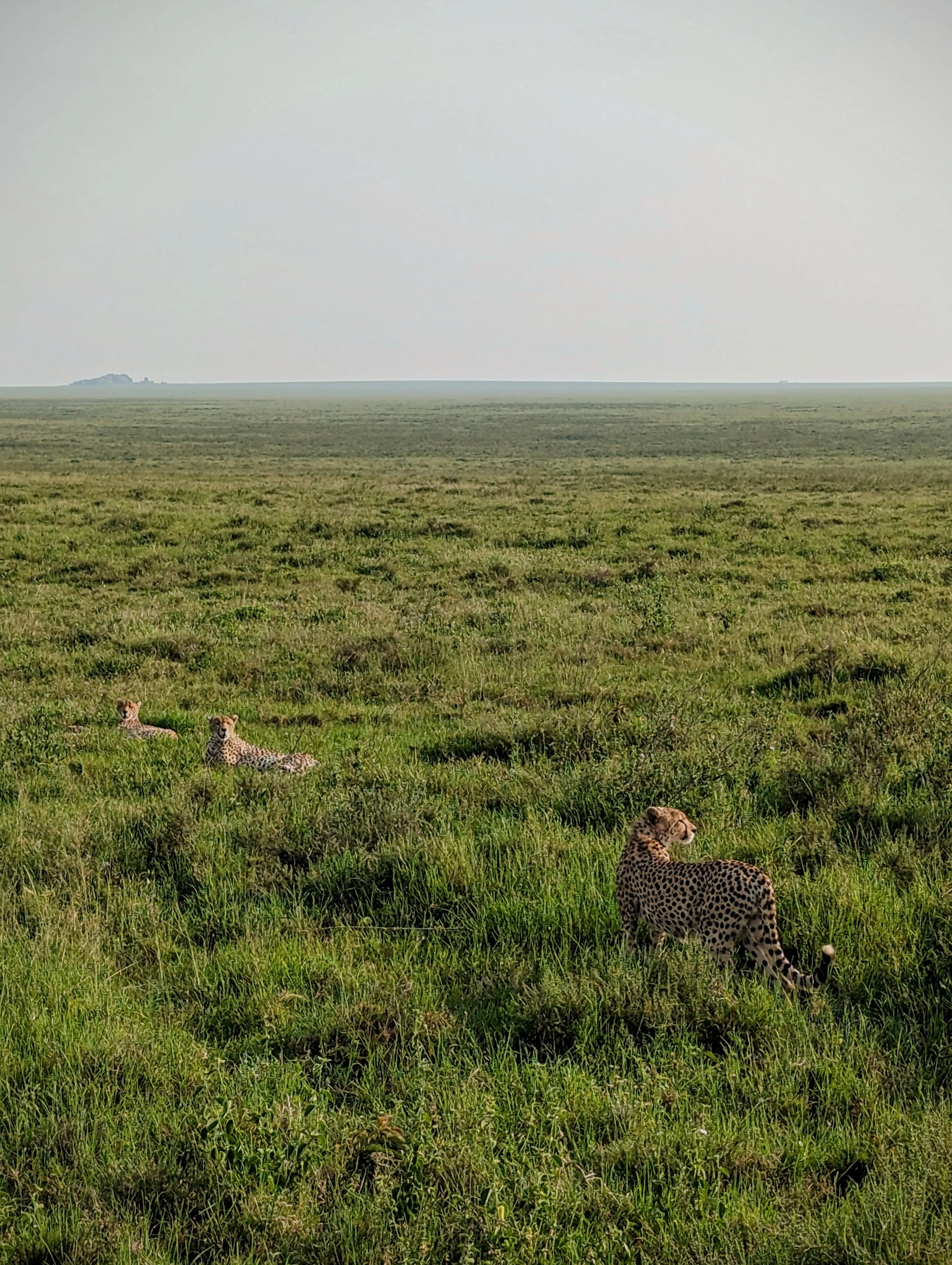 Photograph by Oliver Osvald