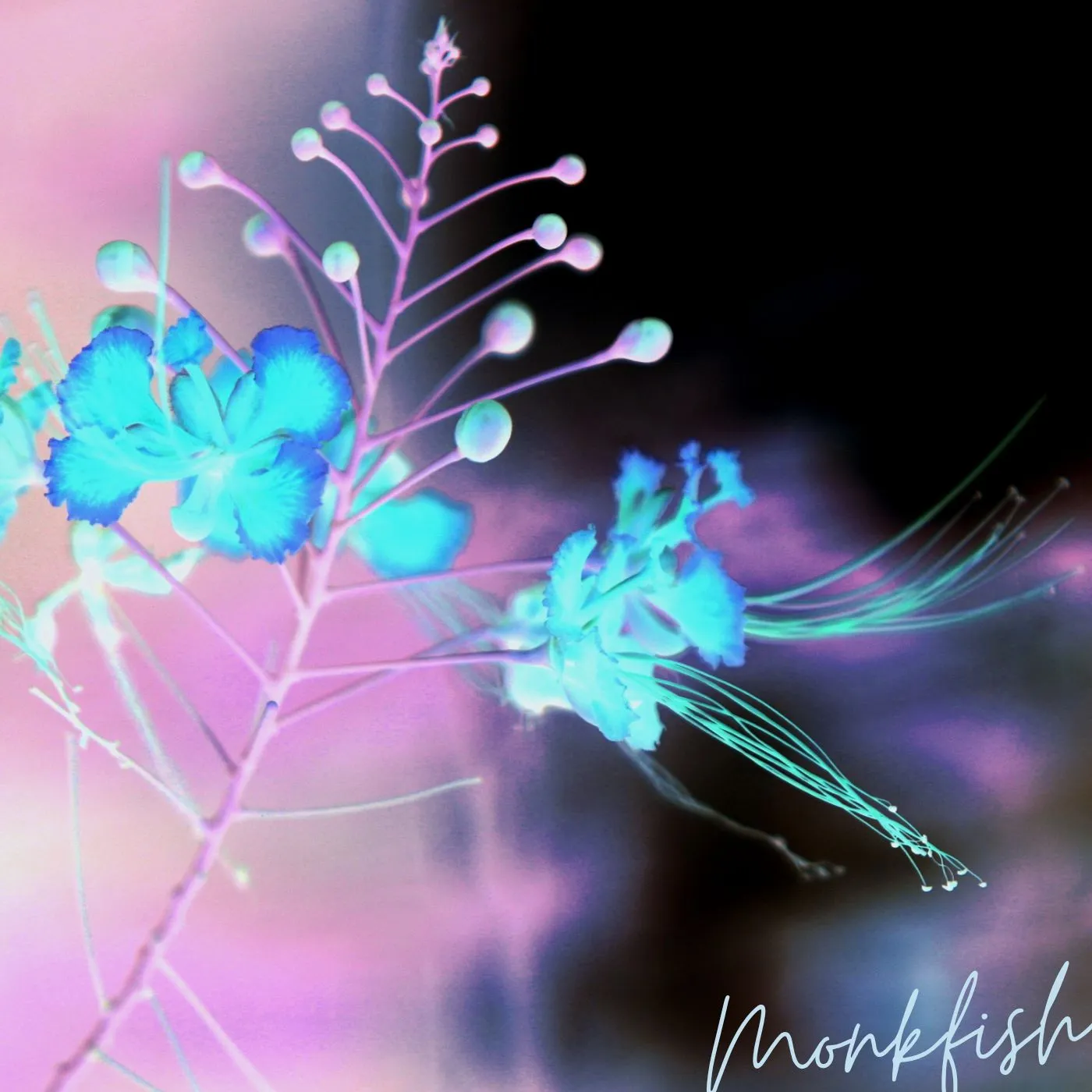 Vapour Unfazed — cover artwork
